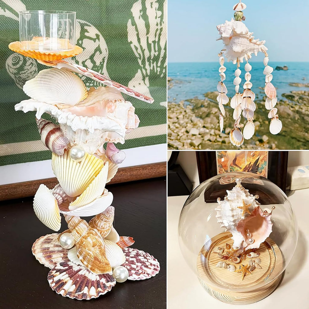 22 PCS Large Seashells Mixed Beach Sea Shells and Ocean Natural Starfish,Natural Colorful Sea Shells Starfish Up to 6.5 Inch, Perfect for Beach Theme Party Home Decor DIY Crafts Fish Tank Decorations