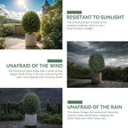 Artificial Boxwood Topiary Trees Outdoor Set of 2, UV Resistant Faux Outdoor Plants with Real Wood Trunk & Metal Ground Stakes, Wind Resistant Boxwood Ball Bushes for Front Porch Patio Entryway Decor