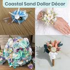 Real Sand Dollars 1.5" to 2" (30 Pack) – Sand Dollar Wall Art & Ornament Set – Beach Wedding Decor – Nautical Party Table Decor – Mini Shells for Crafts – Coastal Gifts