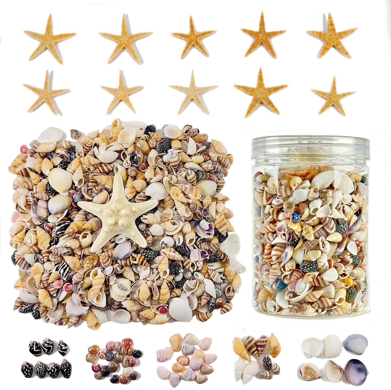 1500 PCS sea Shells Small Natural Starfish Mixed Beach Snail Seashells are Suitable for Beach Theme Parties,Home Decoration, Various DIY Crafts,Candle Making,Shells,Fish Tank and vase fillers