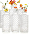 Glass Bud Vase Set of 6 Pcs, Vintage Clear Small Vases for Flowers, Glass Bud Vases in Bulk, Mini Vase for Centerpieces, Wedding, Home Decor and Events