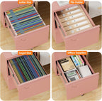 METAN 2 Drawer Metal File Cabinet with Lock, Mobile Rolling Filing Cabinet for Home Office, Under Desk Storage Holds Letter & Legal Size, 17.32" D x 14.56" W x 25.6" H, Assembly Required, Pink