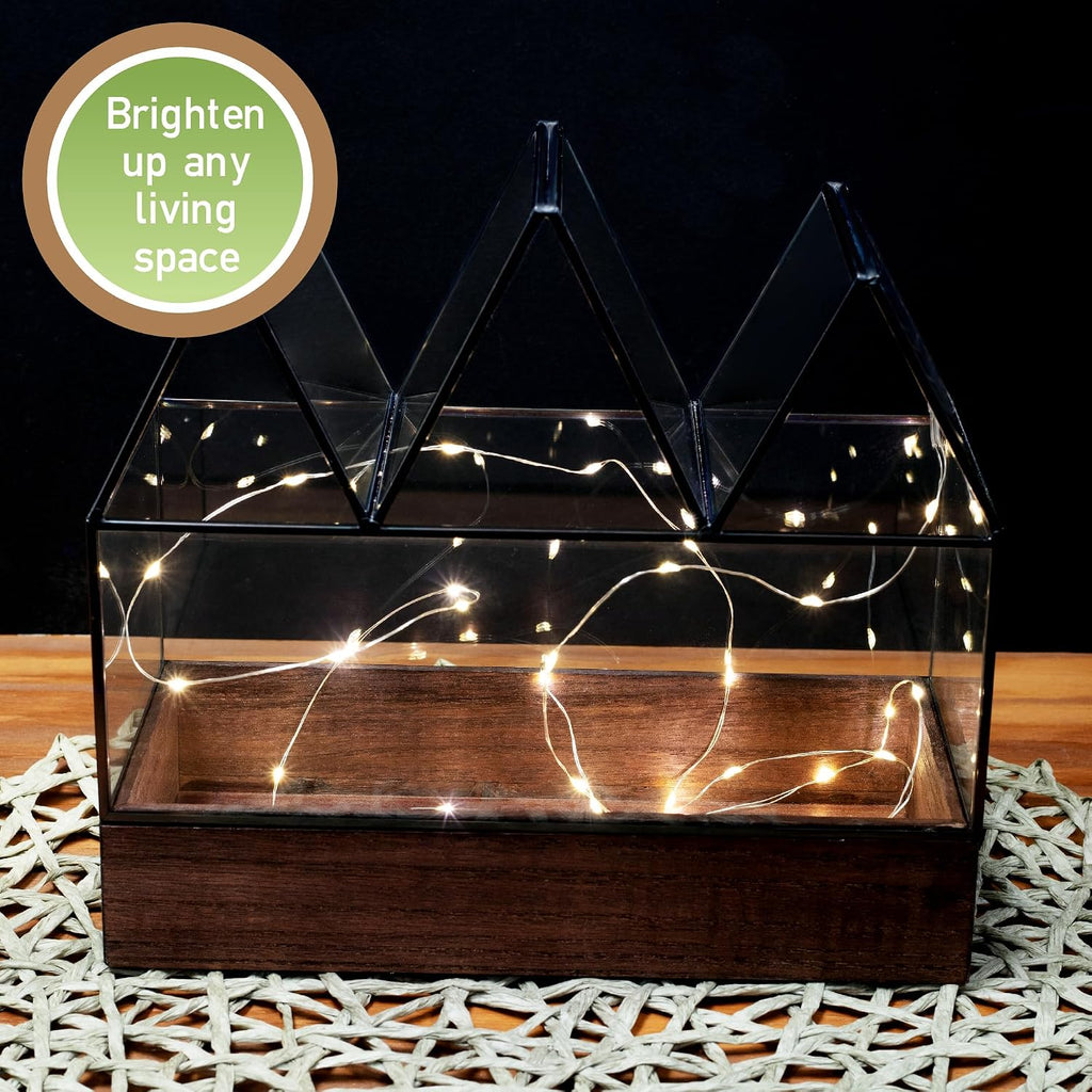 D'Eco Glass Castle Centerpiece (10x9x5)- Tabletop Planter Terrarium- Spring Easter Home Decor & Wedding Letterbox - Fill w Succulents, Moss, Colorful Eggs, Bunny Rabbits, Grass- Gift for Plant Lovers