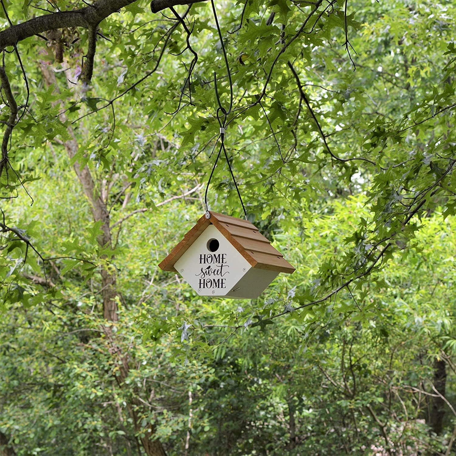Wild Wings WWLH2-DECO Farmhouse Wren House, White