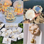 JSPYFITS 2.5-4 Inches Large Starfish and Scallop Shells for Crafts 12PCS, Natural Beach Sea Shells for Crafting, Baking Shells Perfect for White Christmas Decor Beach Party Wedding DIY Crafts