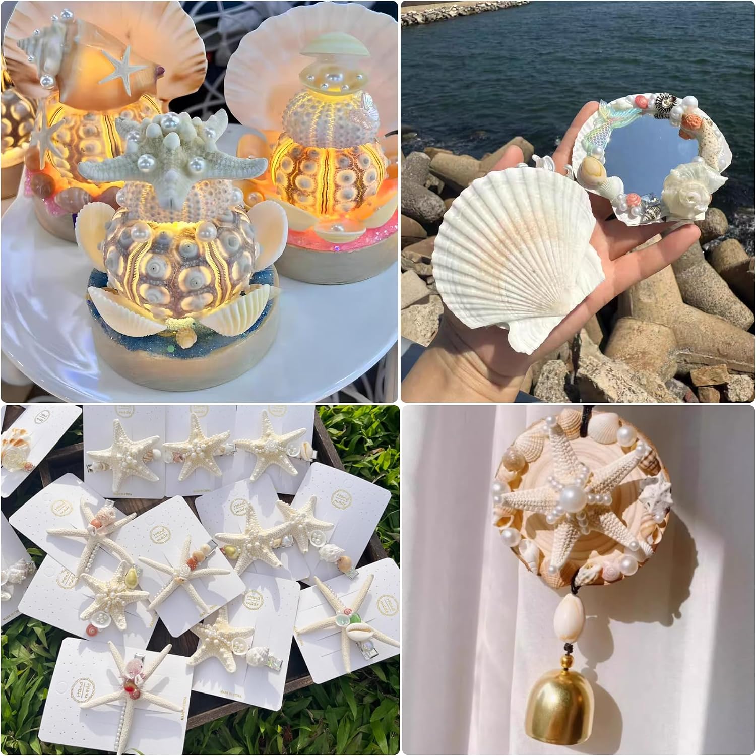 JSPYFITS 2.5-4 Inches Large Starfish and Scallop Shells for Crafts 12PCS, Natural Beach Sea Shells for Crafting, Baking Shells Perfect for White Christmas Decor Beach Party Wedding DIY Crafts
