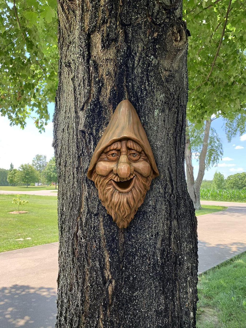 Red Carpet Studios Outdoor Tree Face Birdhouse, 13.5", Harry
