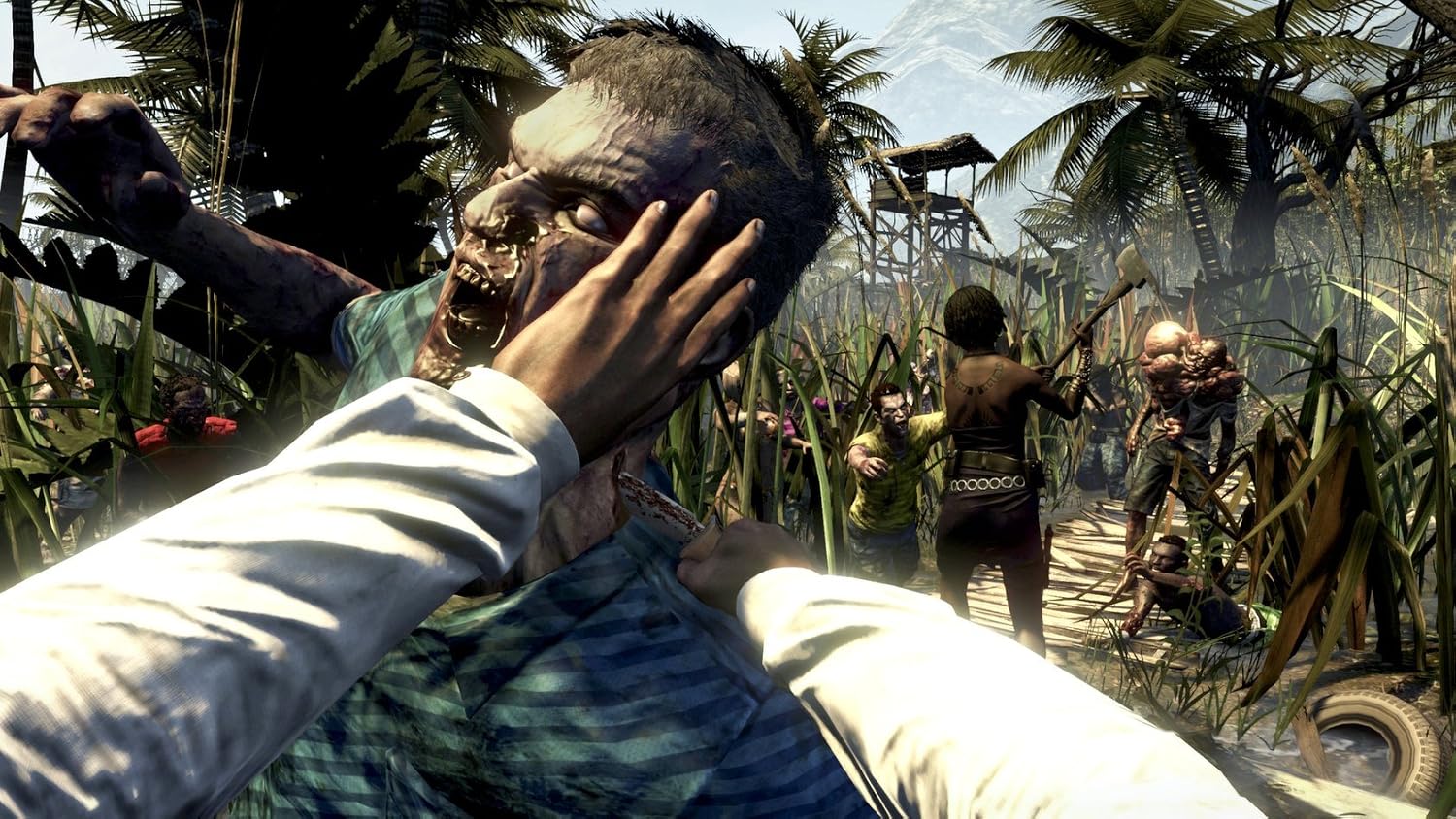 Dead Island: Game of the Year Edition - Playstation 3 (Renewed)
