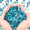 QICQDRAM Crushed Shells for Crafts About 1LB (405g/14.28oz) Small Natural Crushed Shells Bulk for Crafts DIY Beaching Wedding Decoration Vase Fillers (Light Blue)