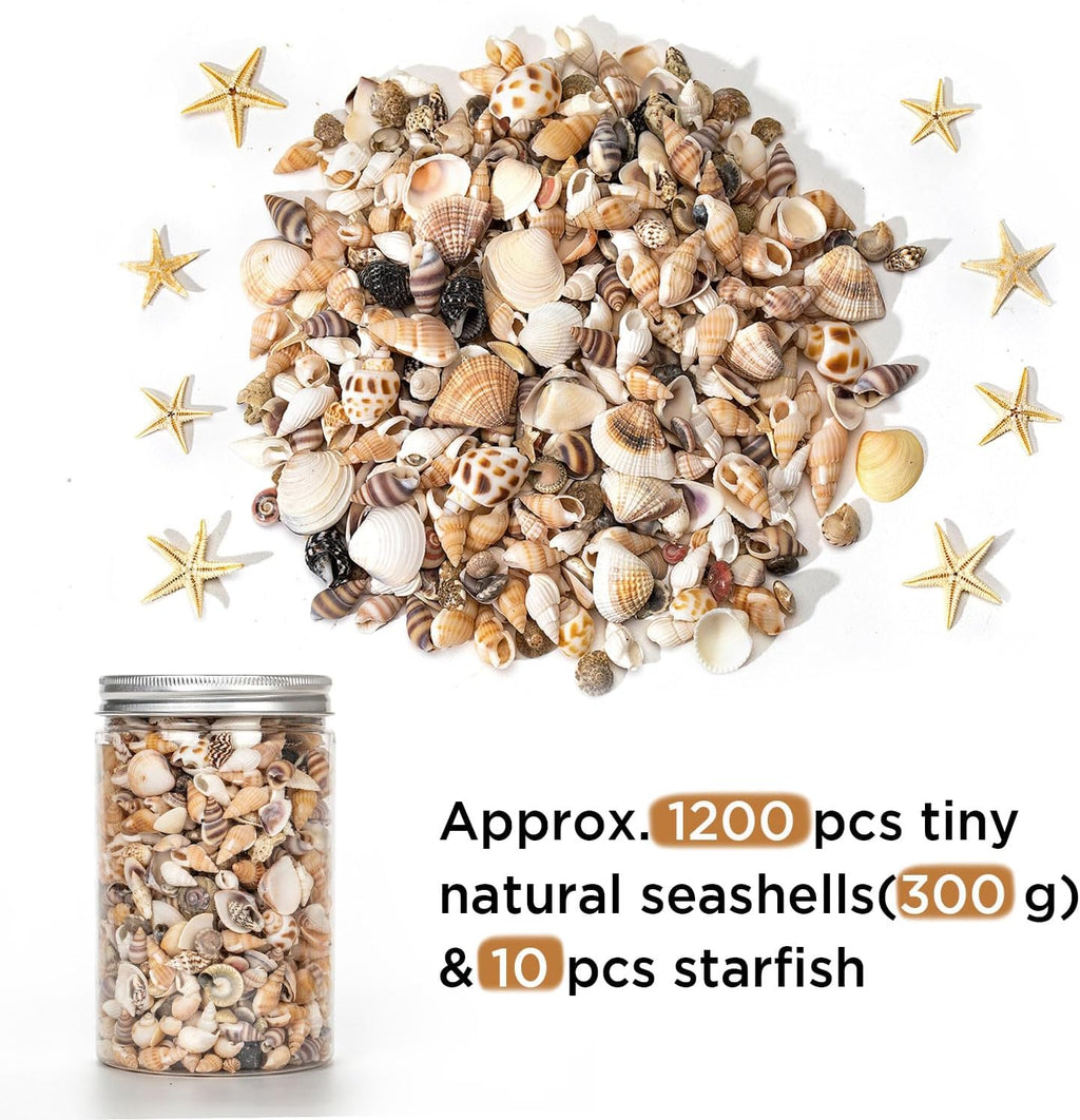 1200 PCS Natural Seashells, Joyfulmap Tiny sea Shells & Small Starfish for Decorations, Mixed Ocean Beach Spiral Shells for Crafting, Fish Tank, Beach Theme Party, Wedding Decor, DIY Craft Supplies