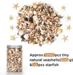 1200 PCS Natural Seashells, Joyfulmap Tiny sea Shells & Small Starfish for Decorations, Mixed Ocean Beach Spiral Shells for Crafting, Fish Tank, Beach Theme Party, Wedding Decor, DIY Craft Supplies