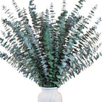 30Pcs Dried Eucalyptus Stems, 17" Real Preserved Eucalyptus Plant for Shower, Fresh Natural Branches for Vase, Eucalyptus Bundle for Home Decor, Wedding, Baby Shower, Bathroom