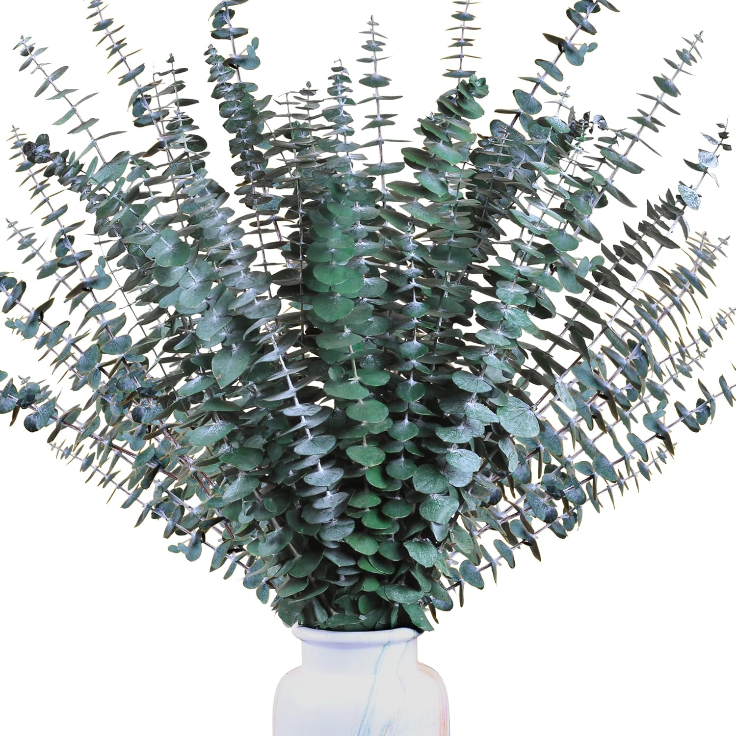 30Pcs Dried Eucalyptus Stems, 17" Real Preserved Eucalyptus Plant for Shower, Fresh Natural Branches for Vase, Eucalyptus Bundle for Home Decor, Wedding, Baby Shower, Bathroom