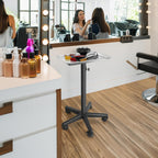 Saloniture Aluminum Salon Instrument Tray with Caddy, Heavy-Duty Rolling Base