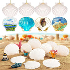 30PCS Natural Scallop Shells 2.3''-3'' White Sea Shells for DIY Craft Making, Hand Painting, Ocean Themed Party and Home Décor