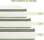 Queen Mattress, 12 Inch Medium Firm Hybrid Mattress in a Box, Motion Isolation, Reinforced Edge Support, Fiberglass-Free, Pressure Relief, CertiPUR-US Certified