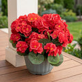 Artificial Geranium Fake Flowers for Outdoors Decoration, 4 Bundles Silk Geraniums Red Flower UV Resistant Look Real Faux Plants for Front Door Garden Porch Planter Patio Balcony Yard Indoor Home