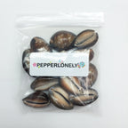 PEPPERLONELY 12PC Serpent's Head Cowrie Sea Shells, Cyprae Caputserpentis Shells, 3/4 Inch ~ 1-1/4 Inch