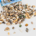 MAQIHAN Tiny Seashells for Crafts - Small Sea Shells Mixed Ocean Beach Shells Bulk for Home Decorations Wedding Decor Beach Theme Party Vase Filler (0.2-0.8 in, 314 Grams)