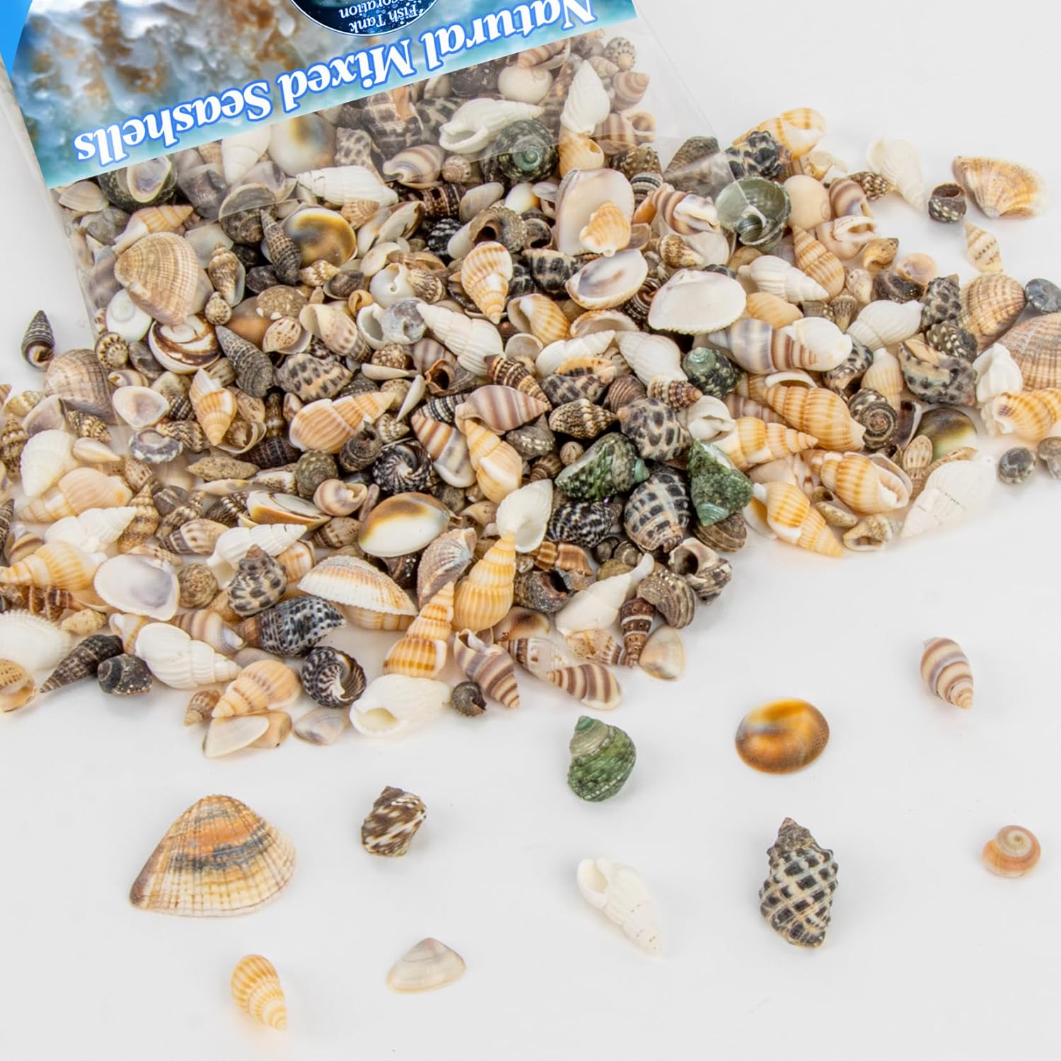 MAQIHAN Tiny Seashells for Crafts - Small Sea Shells Mixed Ocean Beach Shells Bulk for Home Decorations Wedding Decor Beach Theme Party Vase Filler (0.2-0.8 in, 314 Grams)