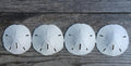 Real Sand Dollars 3" to 3.5" (4 Pack) – Sand Dollar Wall Art & Ornament Set – Beach Wedding Decor – Nautical Party Table Decor – Mini Shells for Crafts – Coastal Gifts
