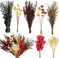 DIY Dried Flower Bouquet Kit, Large Mixed Flowers Assortment - Eucalyptus, Babys Breath, Craspedia, Bunny Tails, Bulk Natural Florals for Wedding Centerpieces, Boho Home Decor, Craft Projects