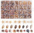 PPCLION 60pcs Tiny Starfish 1800 Pcs Tiny Mini Small Sea Shells for Crafting Spiral Conch Shells for Crafts Charms for Home Decorations Candle Decor DIY Fish Tank and Beach Vase Filler
