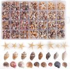 PPCLION 60pcs Tiny Starfish 1800 Pcs Tiny Mini Small Sea Shells for Crafting Spiral Conch Shells for Crafts Charms for Home Decorations Candle Decor DIY Fish Tank and Beach Vase Filler
