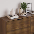 BORNOON Large Shoe Cabinet for Entryway, Shoe Rack Cabinet with 4 Flip Drawer and Adjustable Shelves for Small Apartment, Foyer