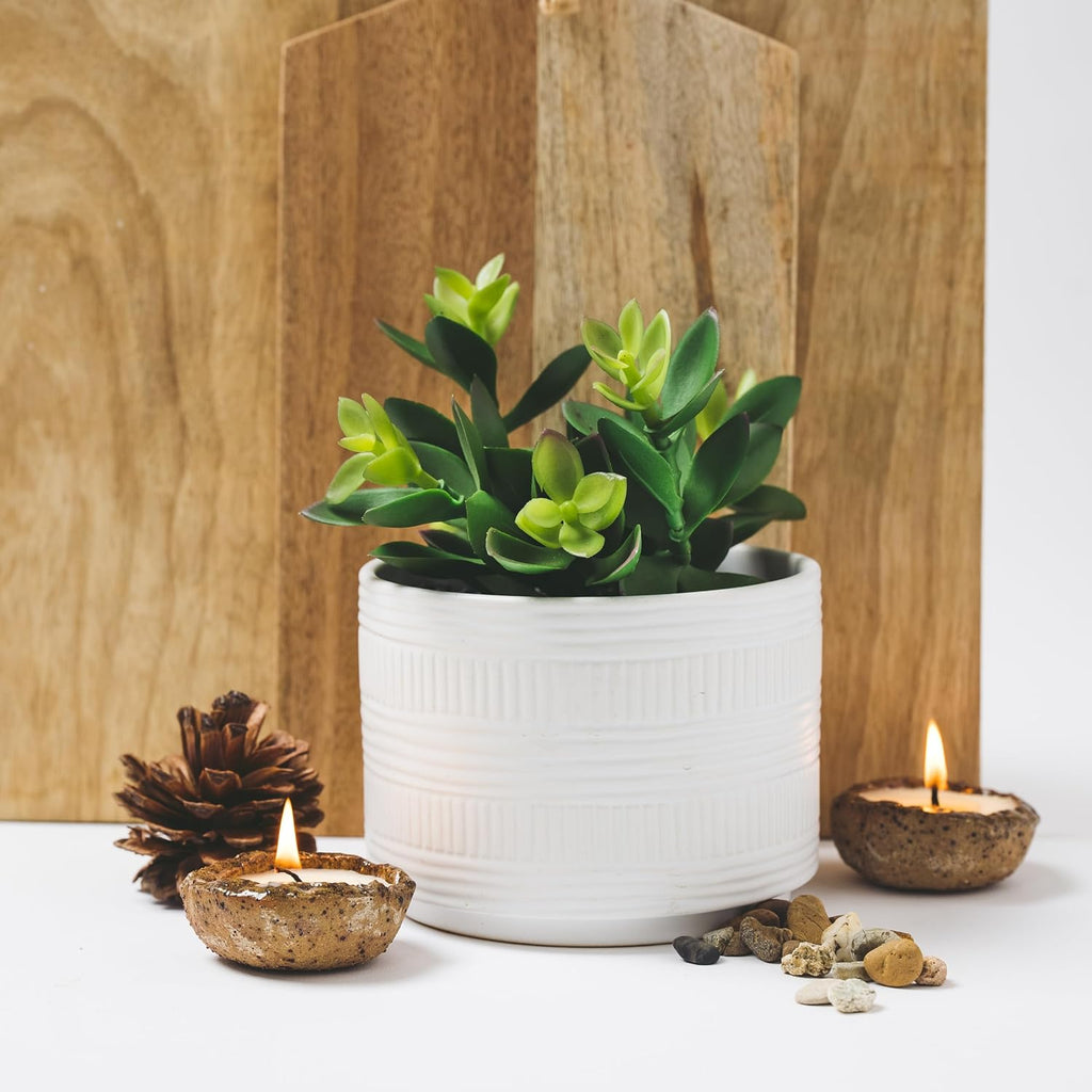 Kurrajong Farmhouse Artificial Plant in Matte White Ceramic Pot | 7.5" Fake Plant for Desk Decor | Artificial Succulent in Pot | Fake Succulent | Faux Plant Indoor | Faux Plant for Shelf Decor