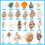 24 PCS Large Sea Shells Mixed Ocean Seashells Starfish Conch Various Sizes Natural Seashells for Fish Tank Beach Themed Party Home Bathroom Wedding Decorations DIY Crafts