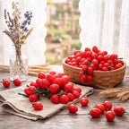 Ripeng 10 Pack Artificial Cherry Tomatoes 7.09" Long Artificial Fruit Lifelike Simulation Tomato Red Tomatoes Decoration Fake Tomato Faux Fruit Fake Vegetables Props for Home Kitchen Cabinet Decor
