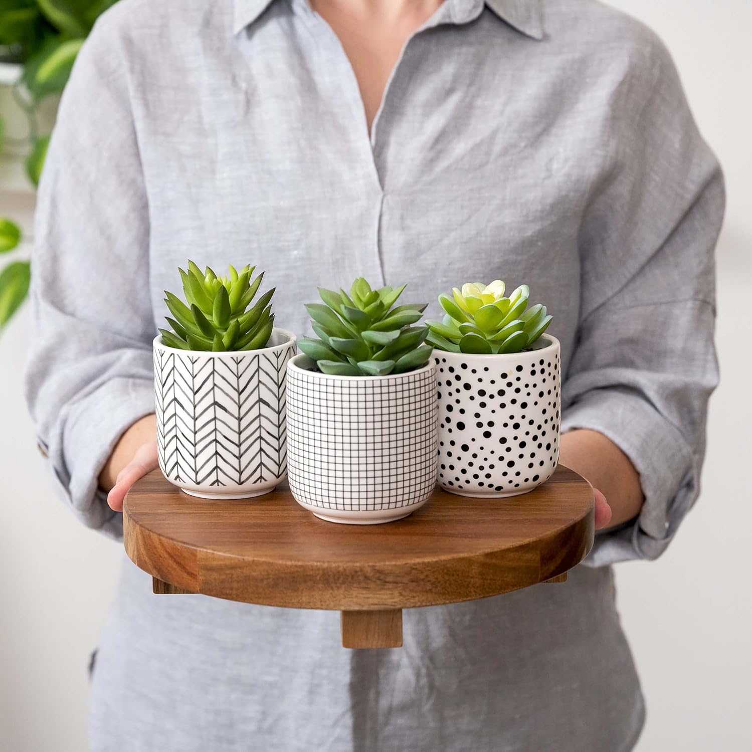 Kurrajong Farmhouse bundle....Set of 3 faux succulents in pots, with a 9" wide riser pedestal stand. One of our most popular paired items