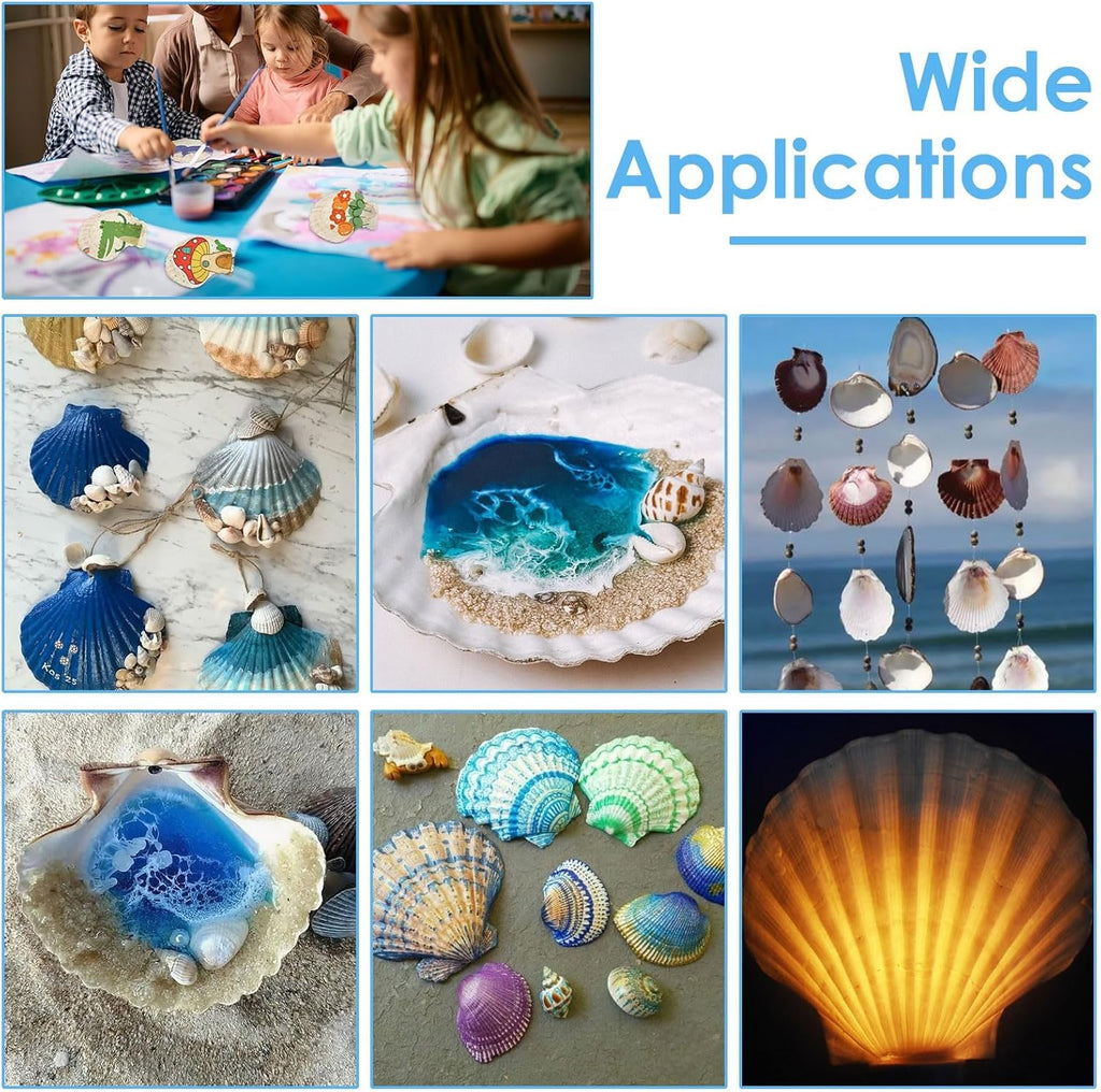 60PCS Large Scallop Shells for Crafts 4-4.3 inch Clam Shells for Decoupage Beach Natural White Seashells Bulk from Sea Beach for DIY Crafts Decorating Painting Crafting Home Wedding Decor