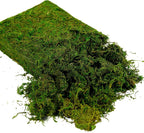 USMOLA Artificial Moss, 16OZ Fake Moss for Crafts Table Centerpieces Fairy Garden Wedding Party Decor, Faux Grass for Potted Plants, 455gr (Fresh Green)