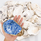 15PCS Oyster Shells 5"-6" Concave Oyster Shells for Crafts Natural Oyster Shells Bulk, for Home Vase Filler, Xmas Ornaments, DIY Arts and Crafts Sea Shells