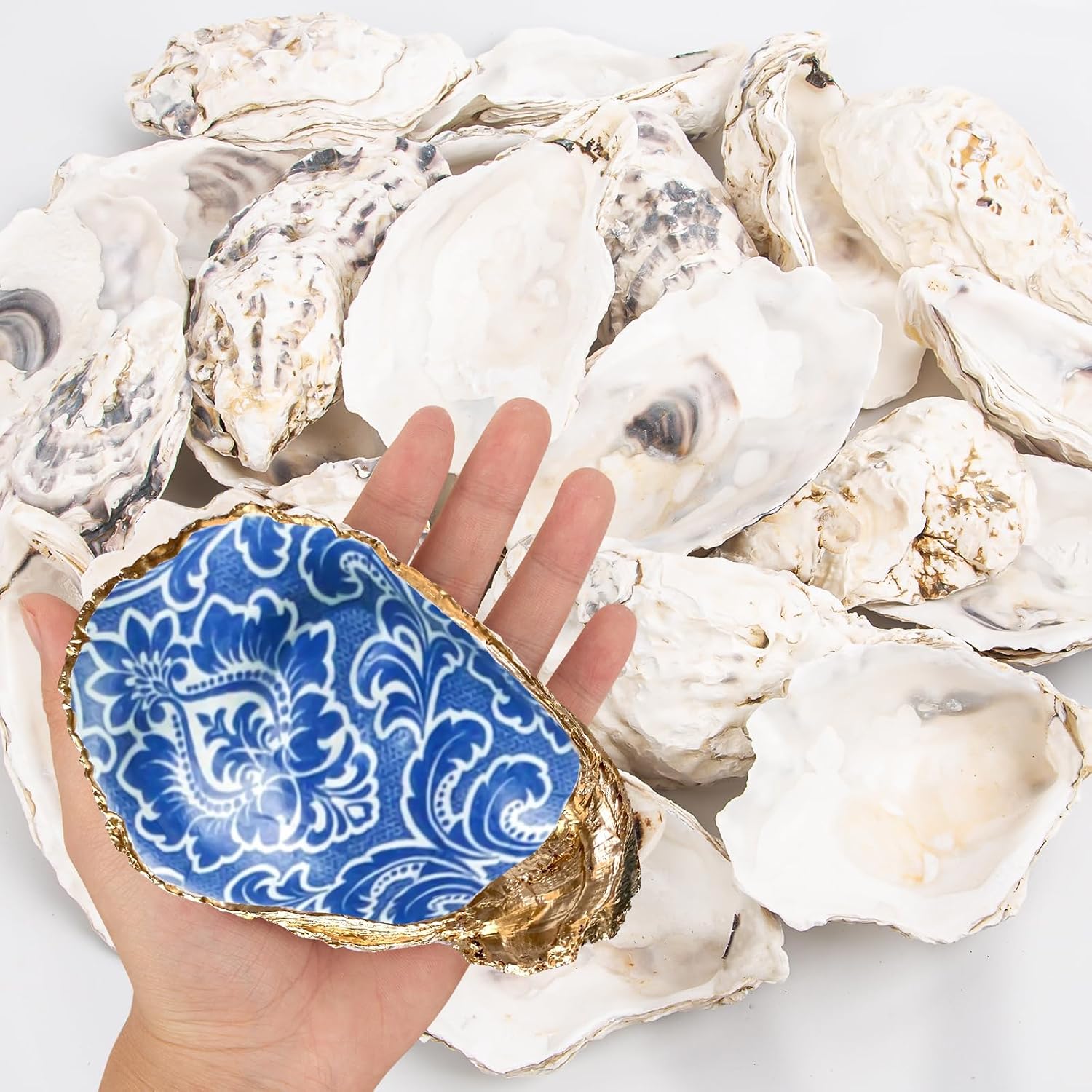 15PCS Oyster Shells 5"-6" Concave Oyster Shells for Crafts Natural Oyster Shells Bulk, for Home Vase Filler, Xmas Ornaments, DIY Arts and Crafts Sea Shells