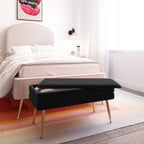 Tov Furniture Ziva Black Velvet Storage Bench