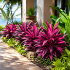 Waydress 6 Pcs Artificial Tropical Plants Faux Cordyline Fruticosa Logs Fake Boston Ferns UV Resistant Artificial Outdoor Greenery Pink Purple for Garden Patio Balcony Porch Yard Home Decor