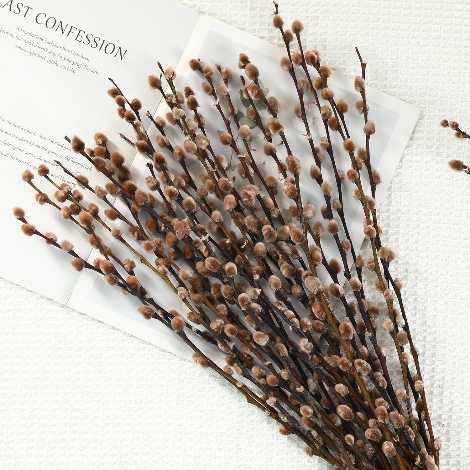 Natural Preserved Dried PussyWillow Branches for Vases, 20 Stems Real Willows, 17” Snow Pussywillows, Dried Flowers for Indoor Decor, Wedding Home DIY Floral Art Plants Fireplace, Brown
