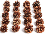 SBYURE 20 Pack 2.4 Inch Pinecones Bulk Package of Natural Pinecones Pine Cones for Crafts Home Decor Vase Filler