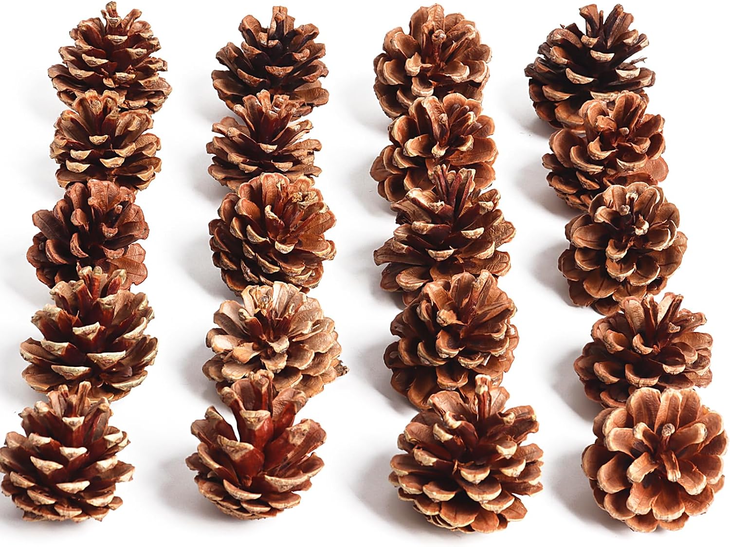 SBYURE 20 Pack 2.4 Inch Pinecones Bulk Package of Natural Pinecones Pine Cones for Crafts Home Decor Vase Filler