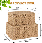 OIAHOMY Wicker Storage Basket with Lid & Lock, Lidded Storage Bins, Decorative Baskets for Organizing, Set of 2-Natural