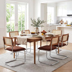 Zesthouse Rattan Dining Chairs Set of 4, Mid Century Modern Dining Room Chairs with Natural Cane Mesh & Chrome Base, Brown Cesca Chair Chenille Fabric, Farmhouse Kitchen Chair with Solid Wood Back