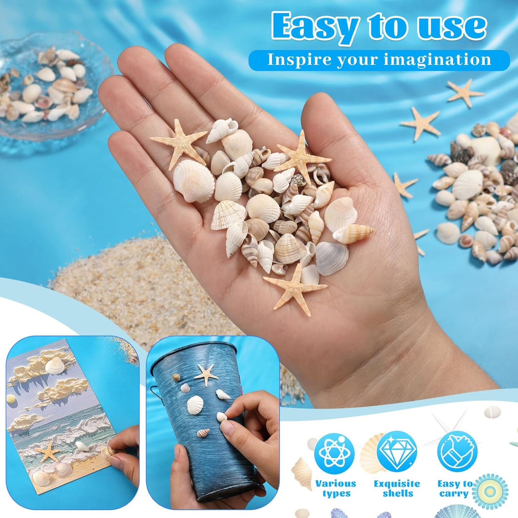 1200 Pcs Tiny Sea Shells, Seashells for Crafts with Small Shells Starfish Mixed Ocean Beach Spiral Seashells for Beach Party, Fish Tank and Vase Filler, Wedding Decor, Diy Jewelry Candle Making