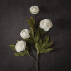 VIERENA 6 PCS Artificial Ranunculus Branches for Vase - 27" Fake Silk Persian Buttercup Stems Look Real Faux Flowers for DIY Bouquet, Table Centerpieces, Farmhouse, Home Decor (Cream)