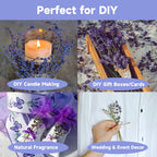 Dried Lavender 150+ Stems - Natural Purple Flowers Compact Short Stem Lavender 7.2-8.2 Inch for Home Decor, Wedding DIY Crafts, Small Vase Arrangements & Aromatherapy, Fresh Fragrance (150, 7.2"-8.2")