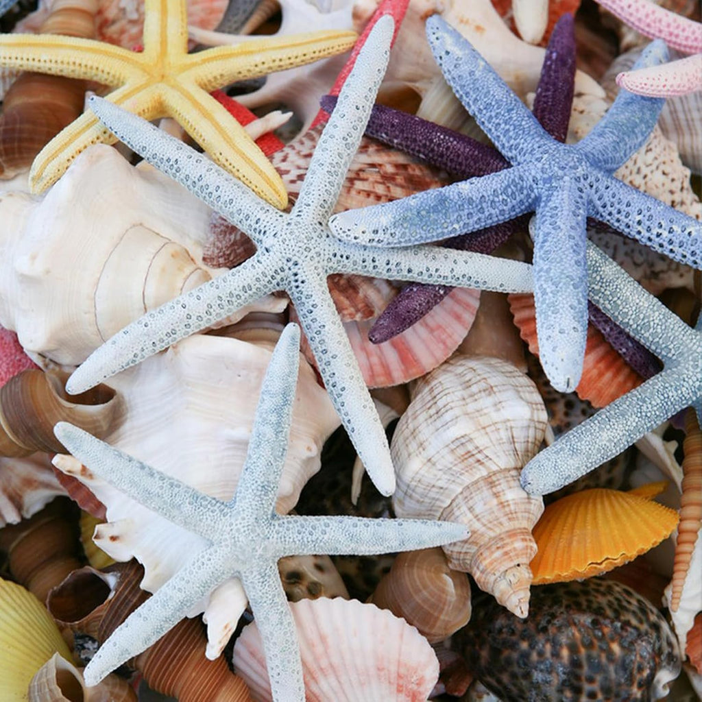 24 PCS Starfish, Mixed Starfish 2" to 3" and 3" to 4" Natural Seashells Starfish White Starfish Ornaments Perfect for Wedding Beach Theme Party Home Decorations, DIY Crafts, Fish Tank