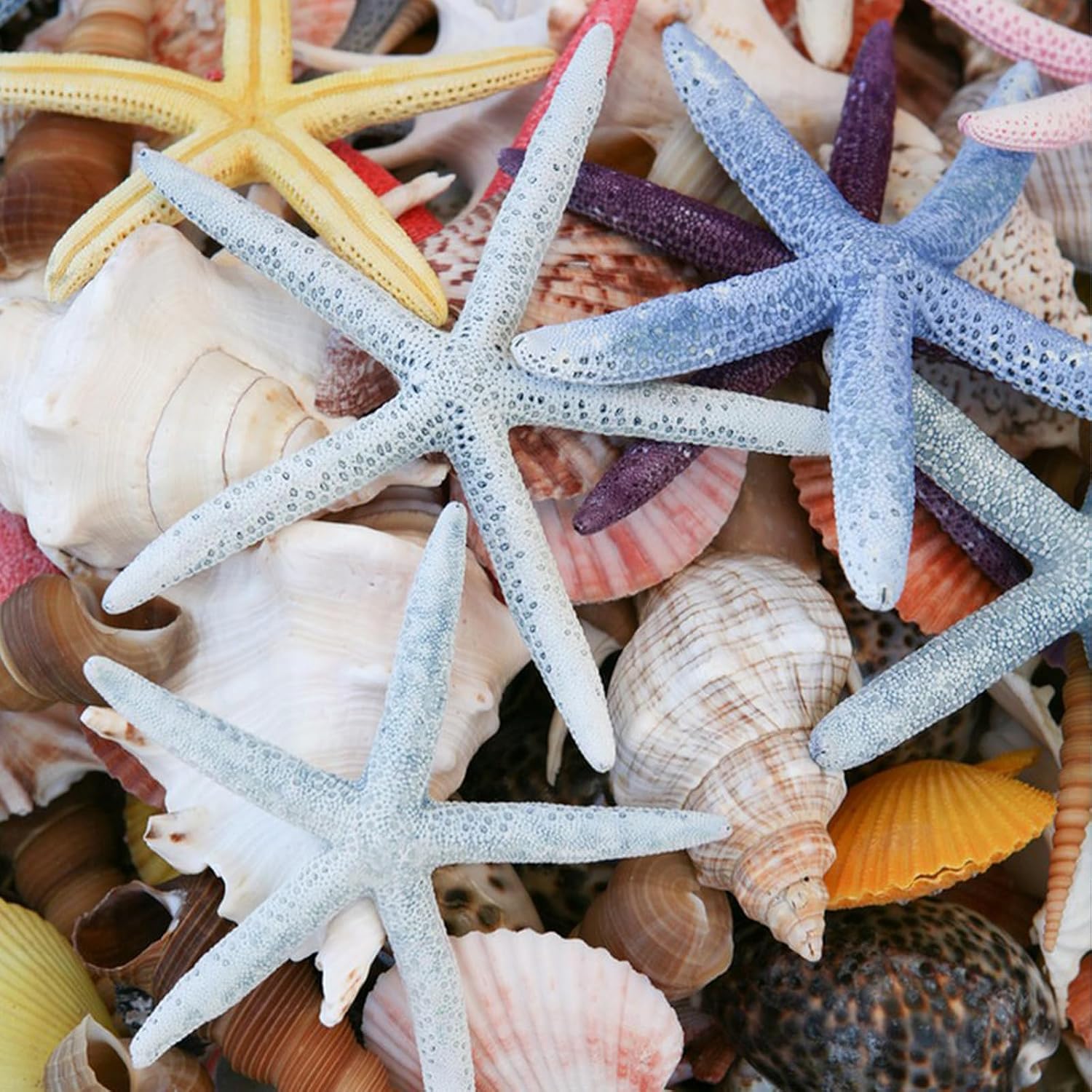 24 PCS Starfish, Mixed Starfish 2" to 3" and 3" to 4" Natural Seashells Starfish White Starfish Ornaments Perfect for Wedding Beach Theme Party Home Decorations, DIY Crafts, Fish Tank