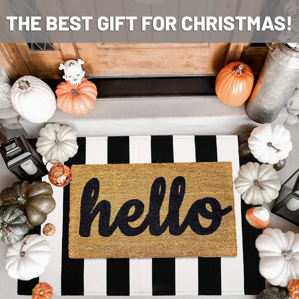 IOHOUZE Black White Striped Rug -27.5" X 43" Front Door Mats Outdoor,Washable Rug for Front Porch Decor,Spring Summer Welcome Mats Outdoor Indoor, Doormat for Farmhouse/Entryway/Home Entrance